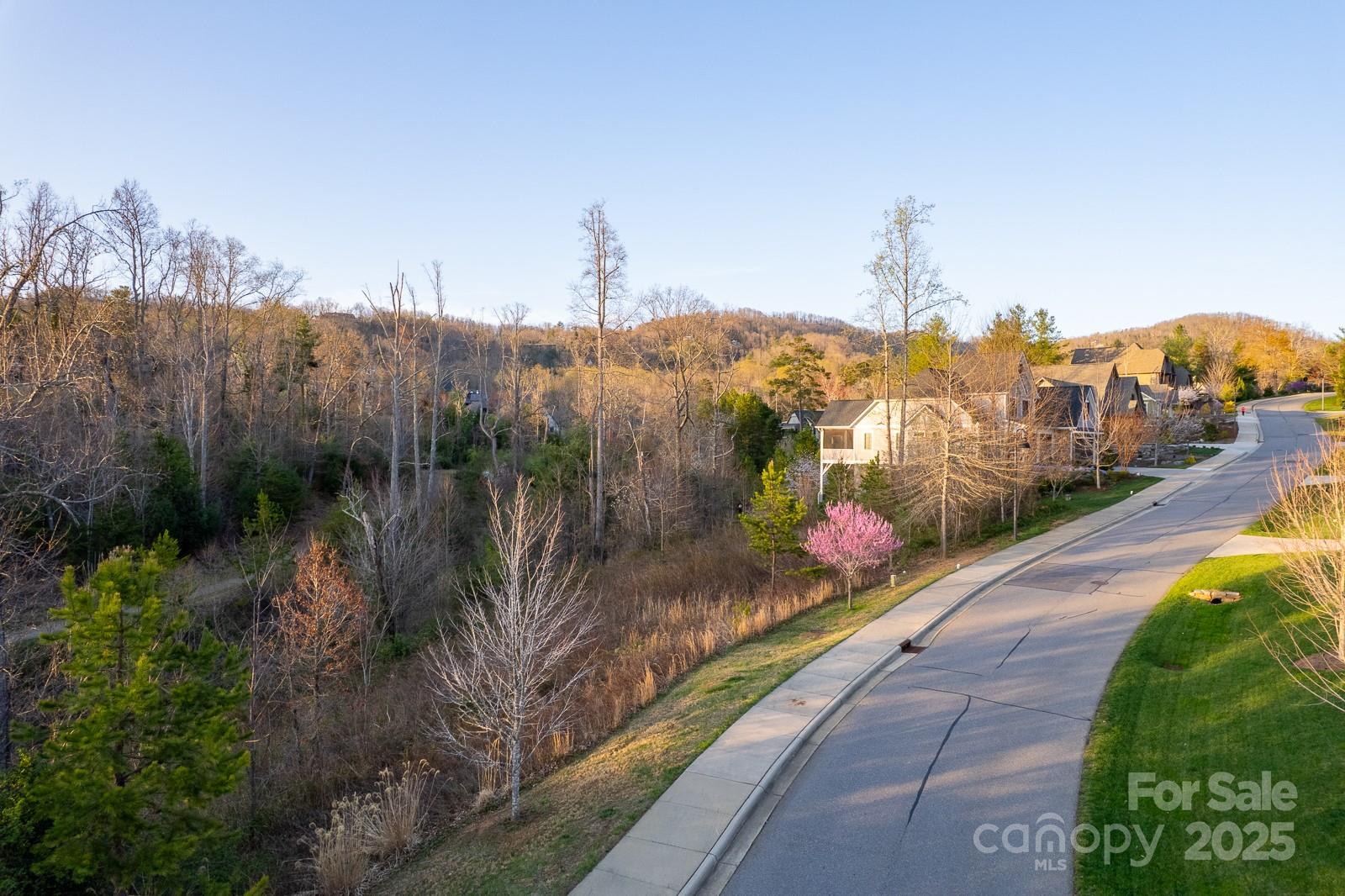 64 French Willow Drive Asheville NC 28804