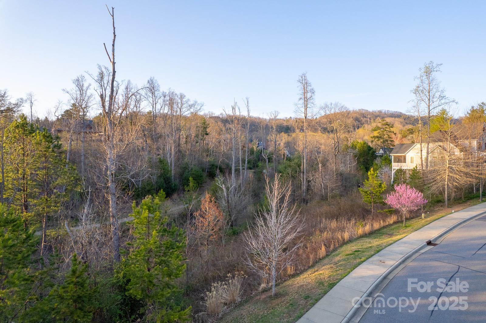 64 French Willow Drive Asheville NC 28804