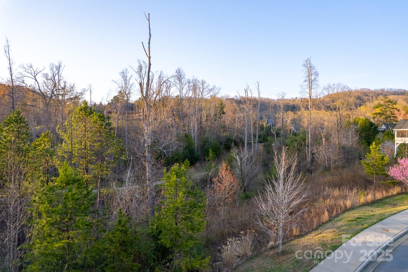 64 French Willow Drive Asheville NC 28804