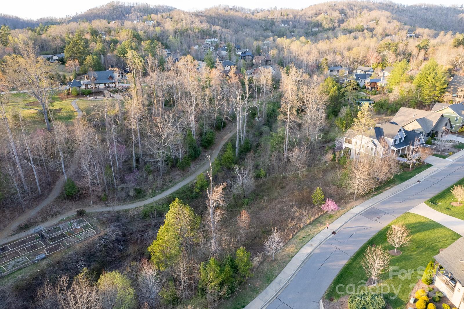 64 French Willow Drive Asheville NC 28804