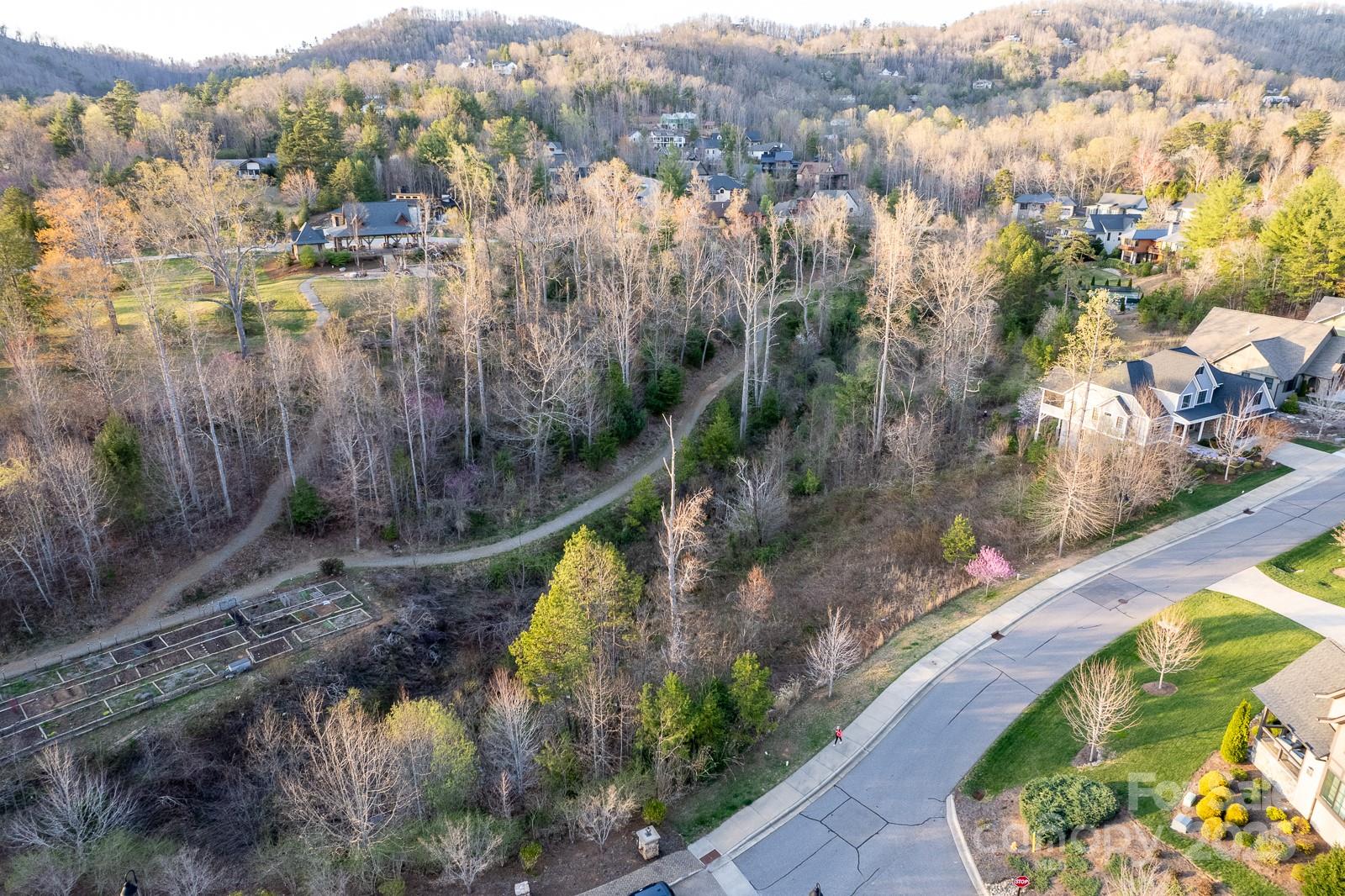 64 French Willow Drive Asheville NC 28804