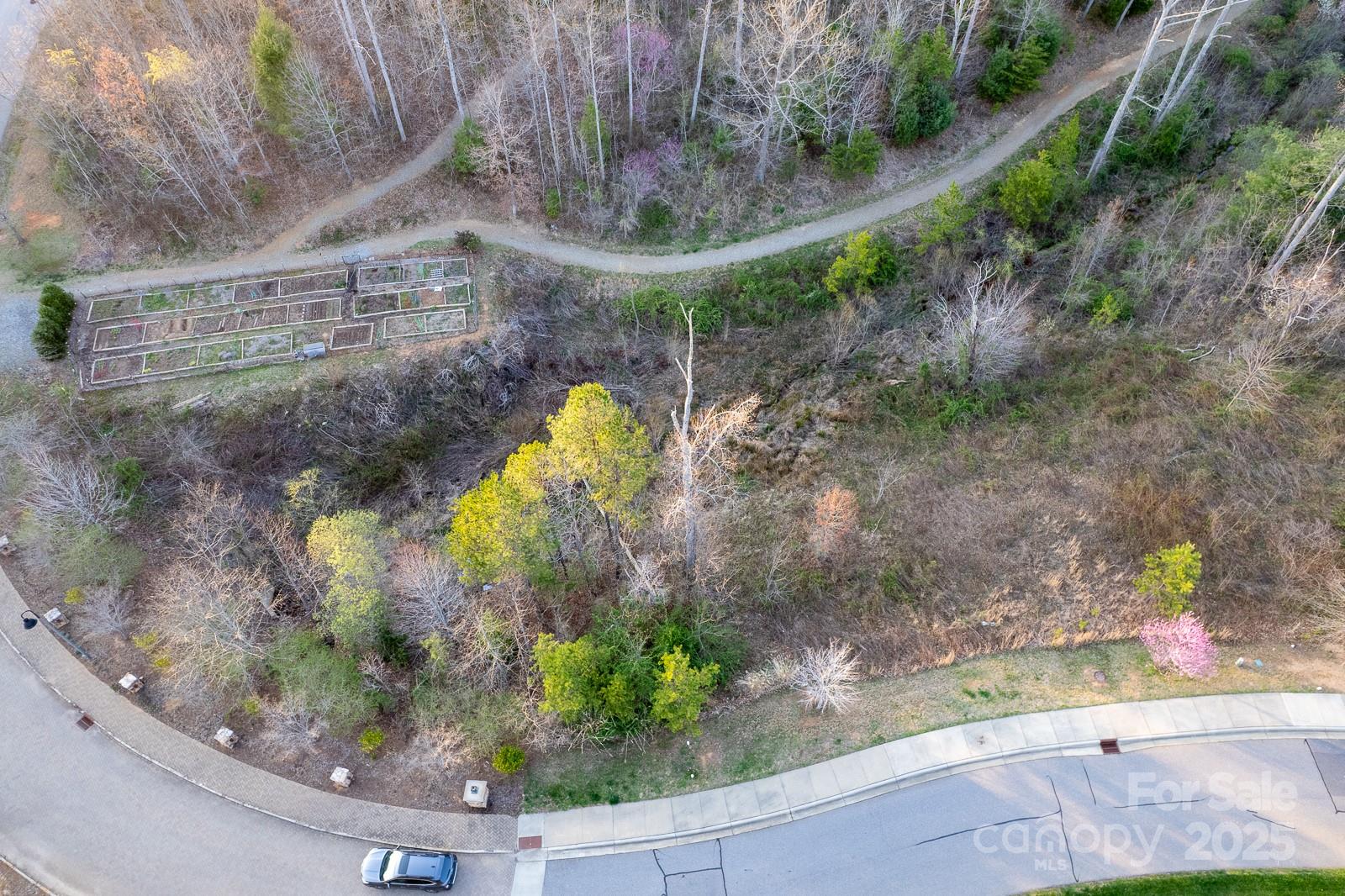 64 French Willow Drive Asheville NC 28804
