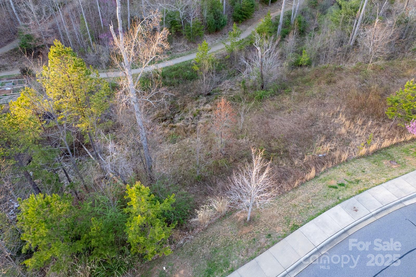 64 French Willow Drive Asheville NC 28804
