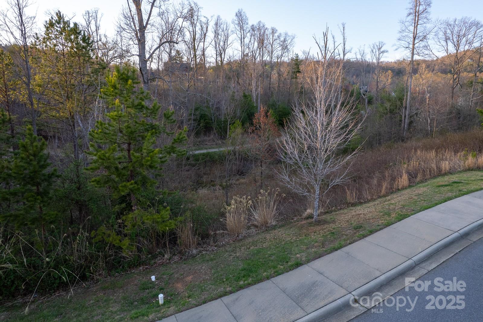 64 French Willow Drive Asheville NC 28804