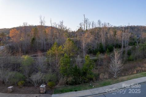 64 French Willow Drive Asheville NC 28804