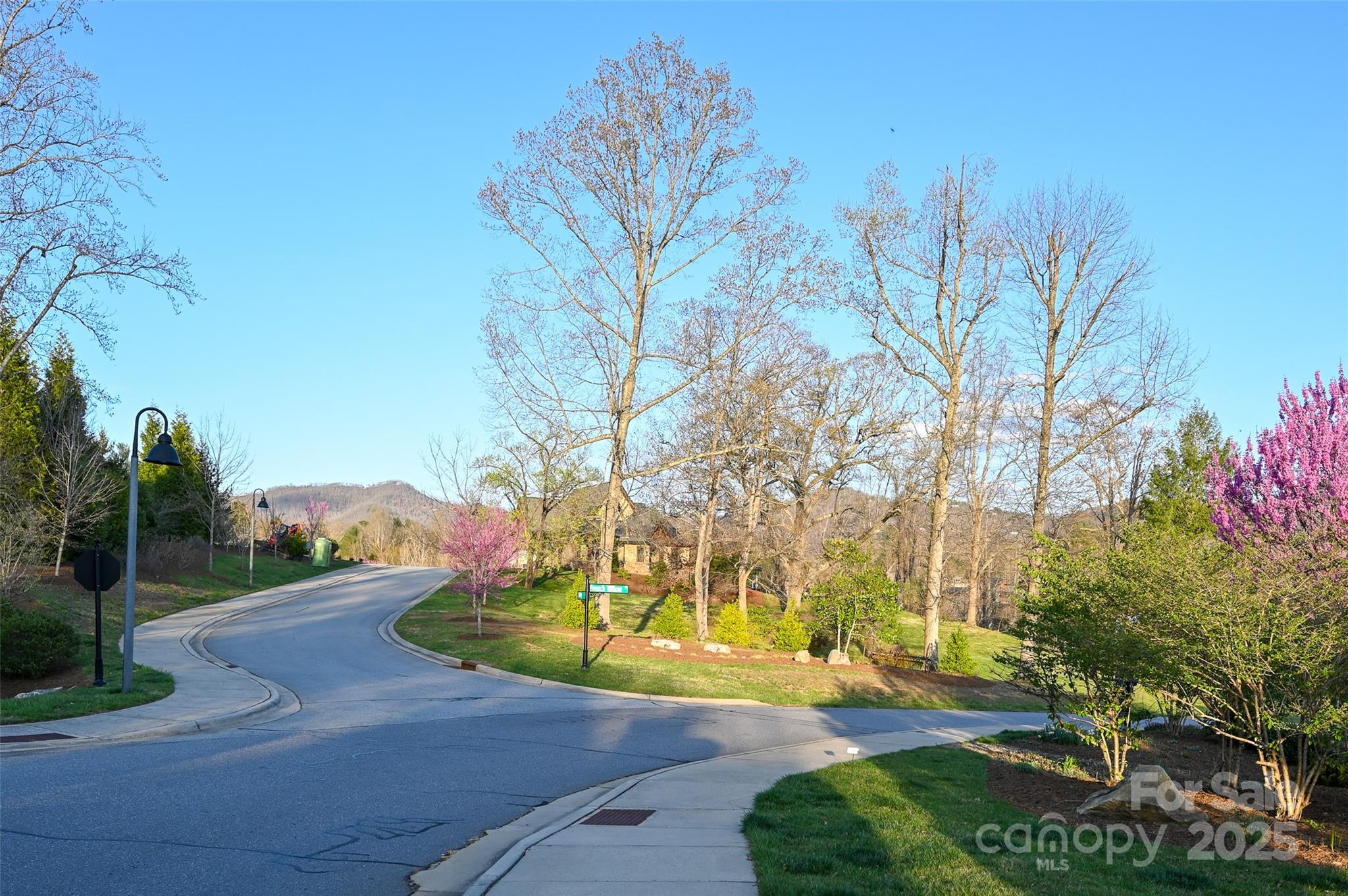 64 French Willow Drive Asheville NC 28804
