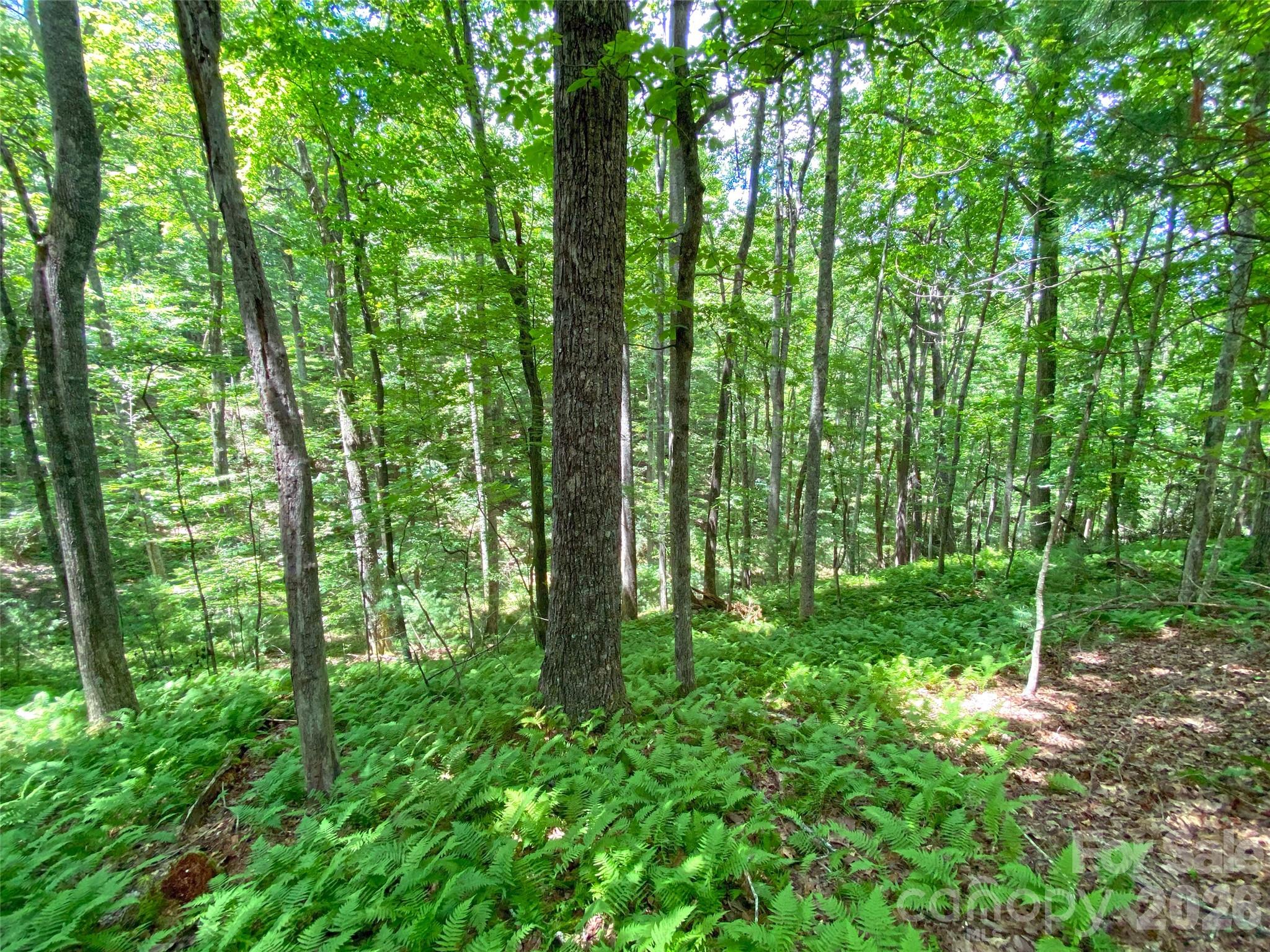 Tbd Hickory Tree Lane Hendersonville NC 28739