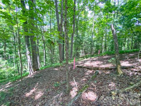 Tbd Hickory Tree Lane Hendersonville NC 28739