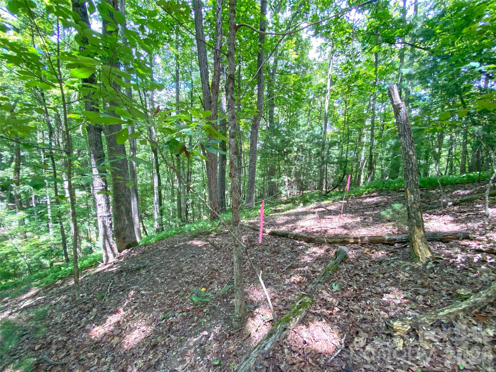 Tbd Hickory Tree Lane Hendersonville NC 28739
