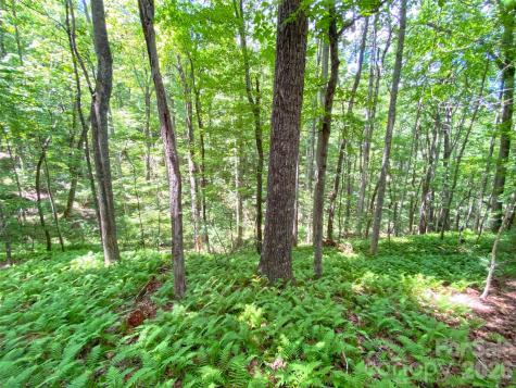 Tbd Hickory Tree Lane Hendersonville NC 28739