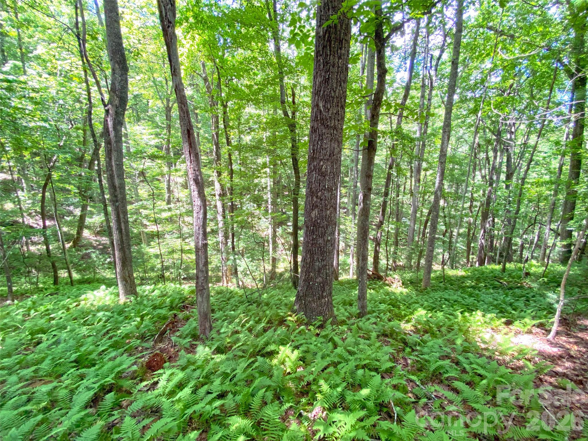 Tbd Hickory Tree Lane Hendersonville NC 28739