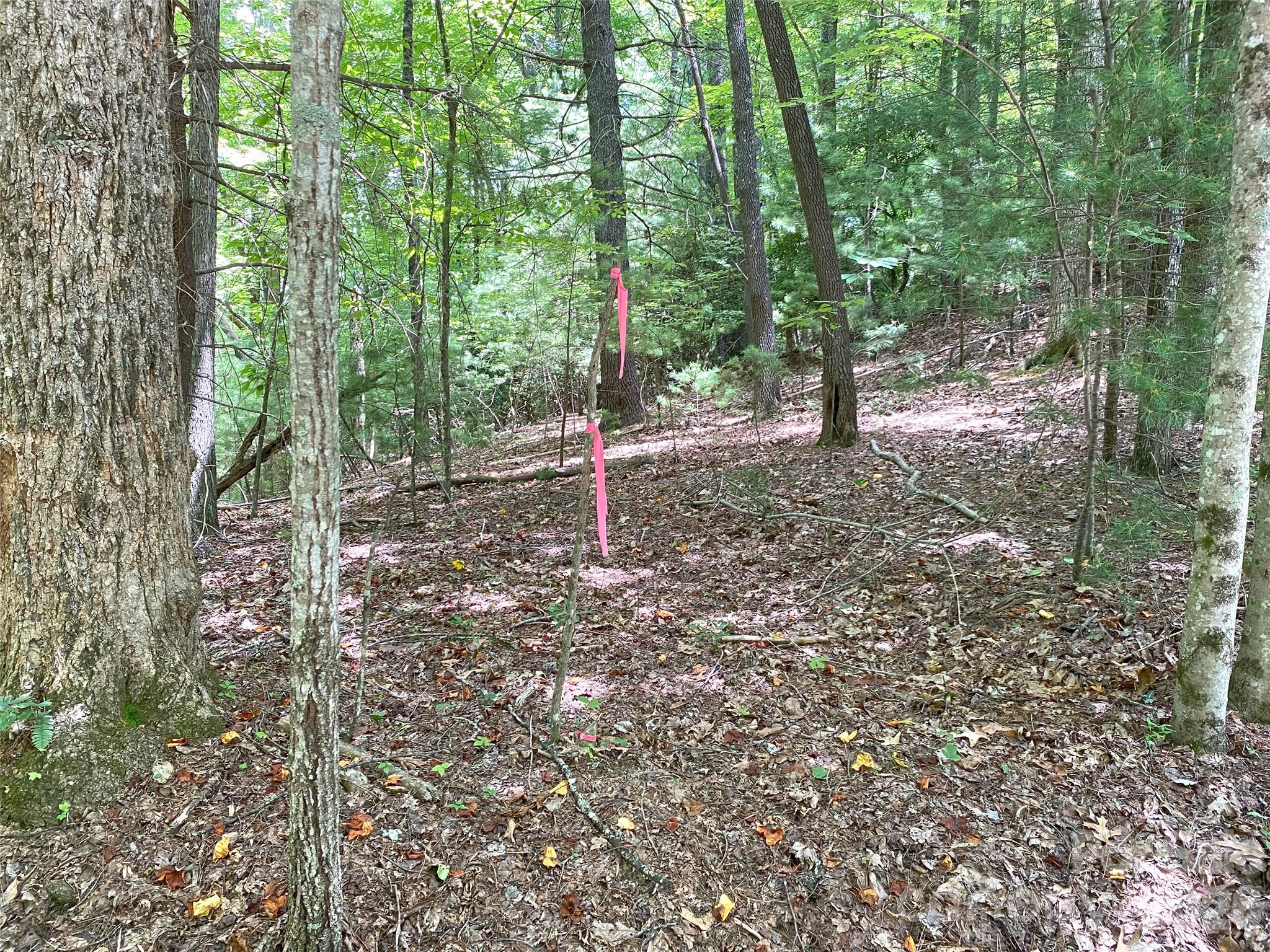 Tbd Hickory Tree Lane Hendersonville NC 28739