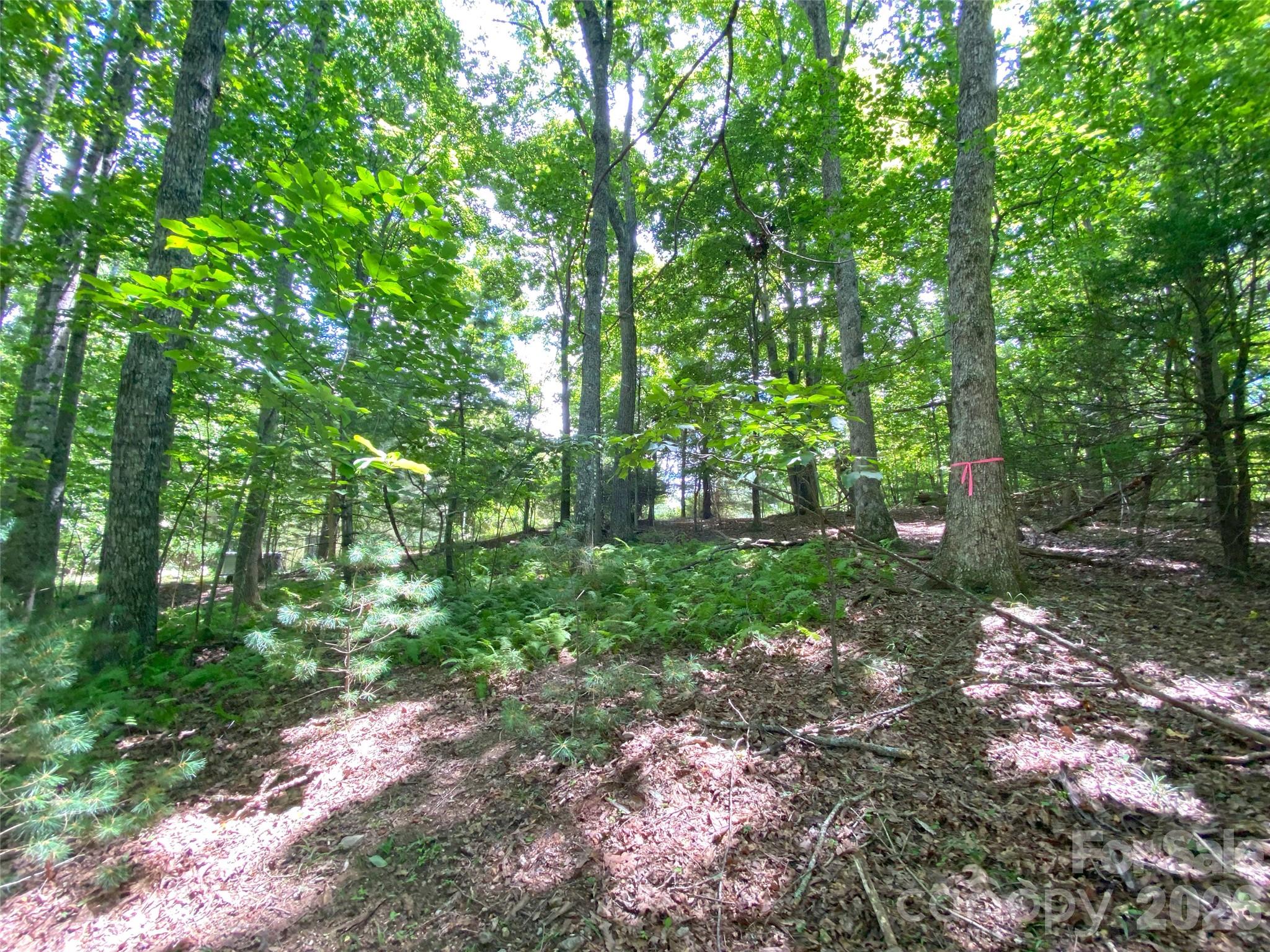 Tbd Hickory Tree Lane Hendersonville NC 28739