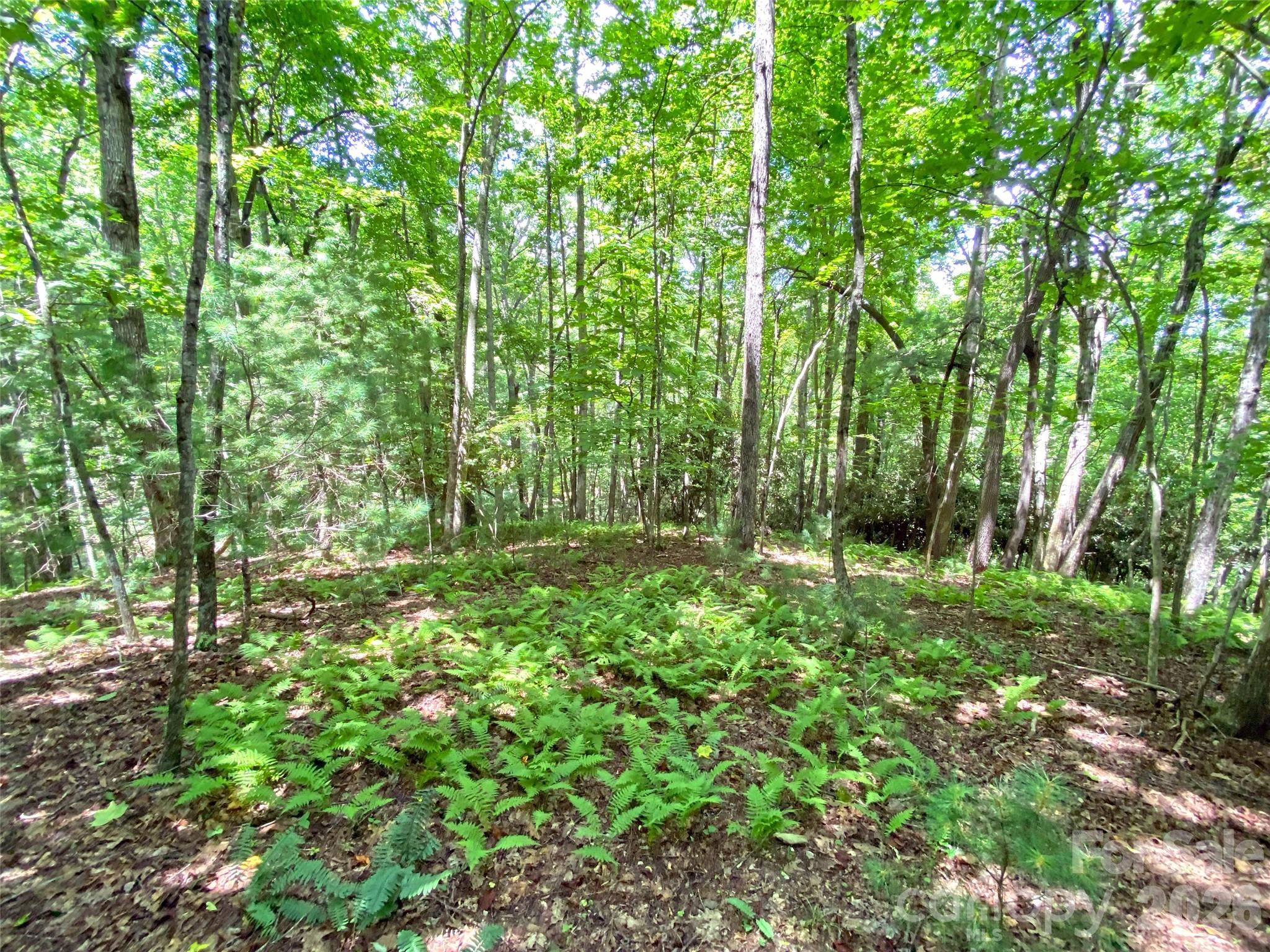 Tbd Hickory Tree Lane Hendersonville NC 28739