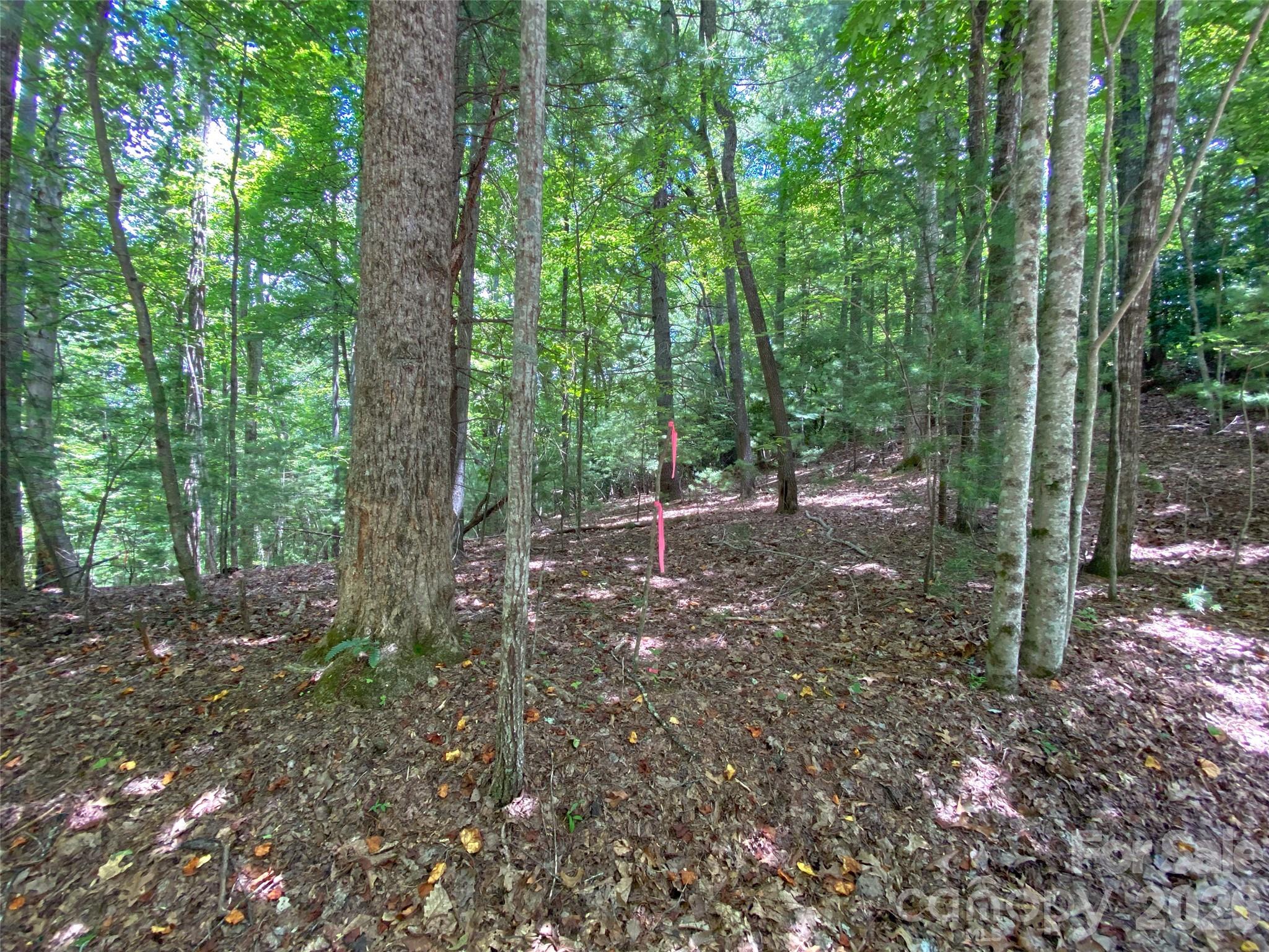 Tbd Hickory Tree Lane Hendersonville NC 28739