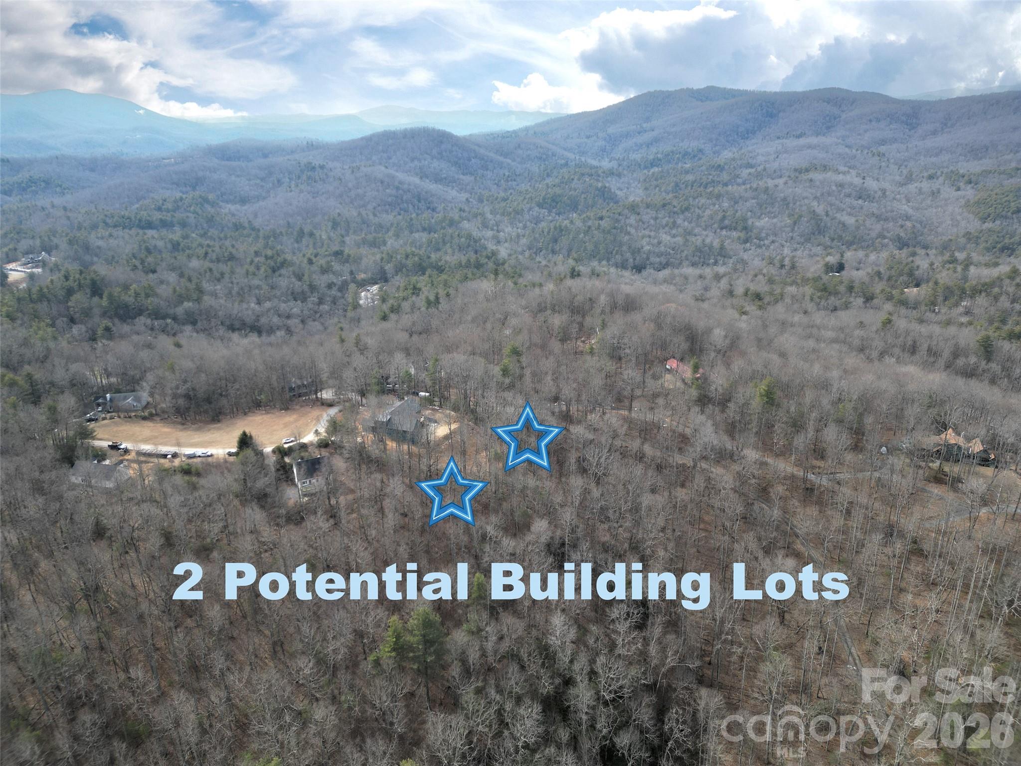Tbd Hickory Tree Lane Hendersonville NC 28739
