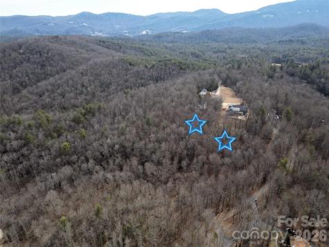 Tbd Hickory Tree Lane Hendersonville NC 28739