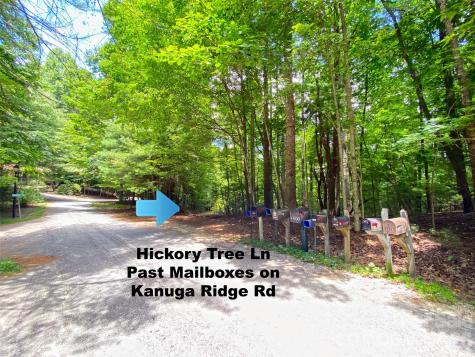 Tbd Hickory Tree Lane Hendersonville NC 28739