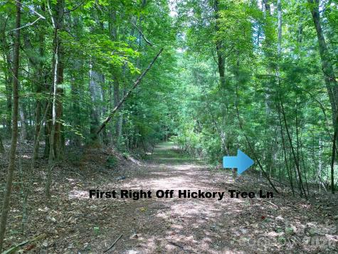 Tbd Hickory Tree Lane Hendersonville NC 28739