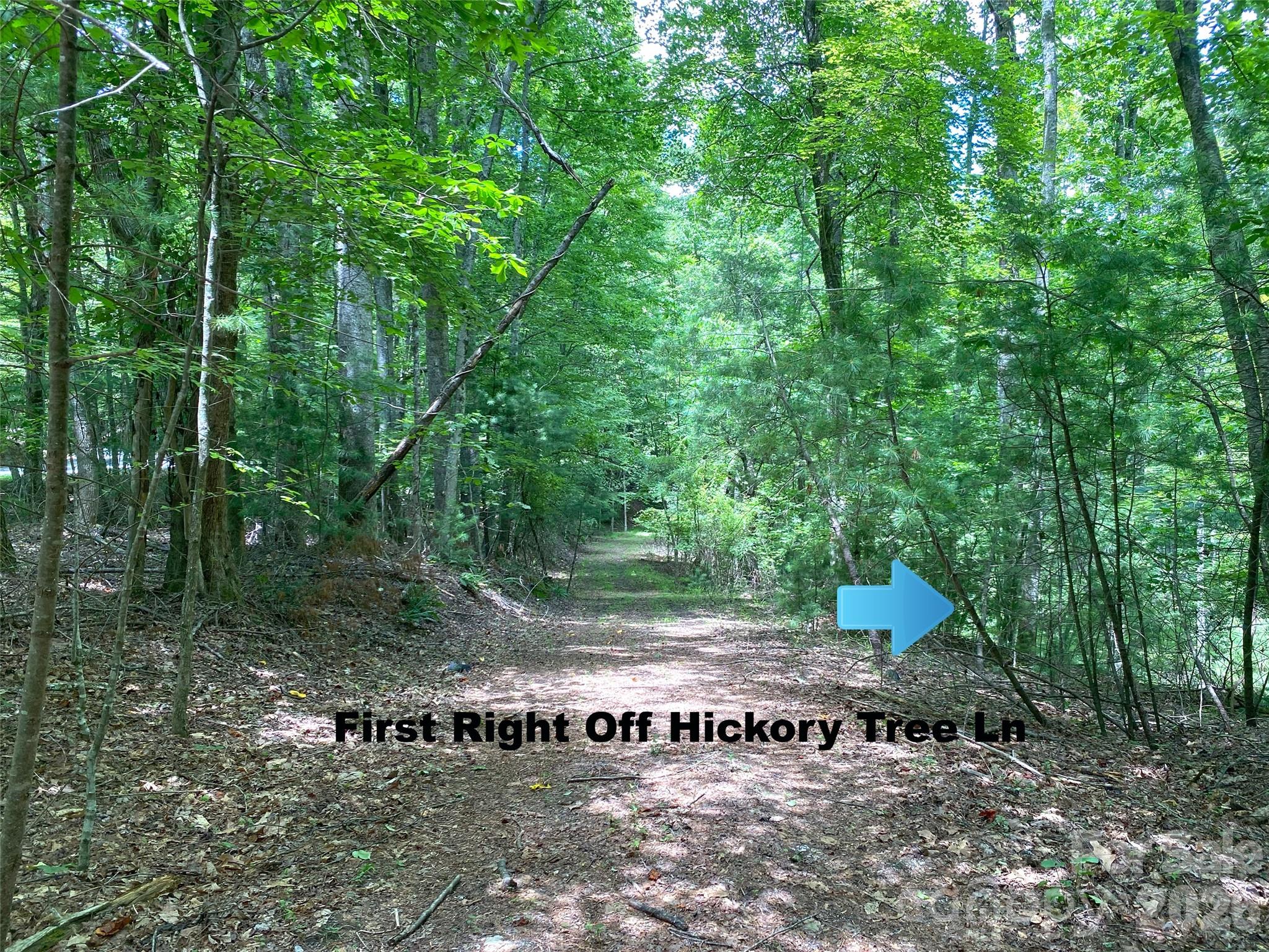 Tbd Hickory Tree Lane Hendersonville NC 28739
