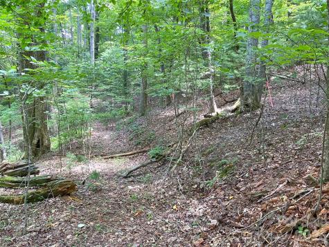 Tbd Hickory Tree Lane Hendersonville NC 28739