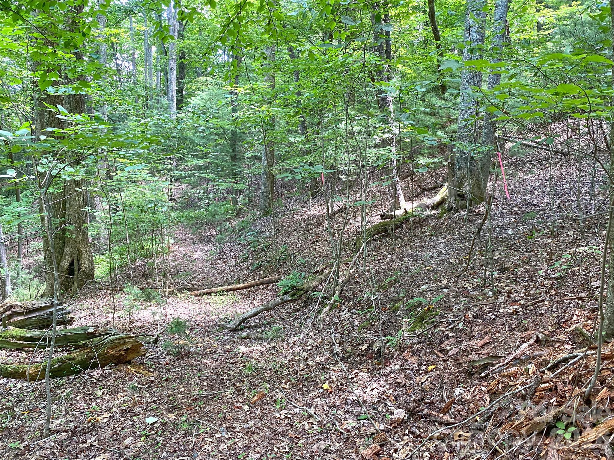 Tbd Hickory Tree Lane Hendersonville NC 28739