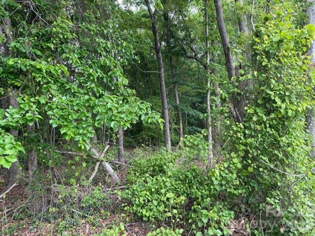 1799 Haire Road Yadkinville NC 27055