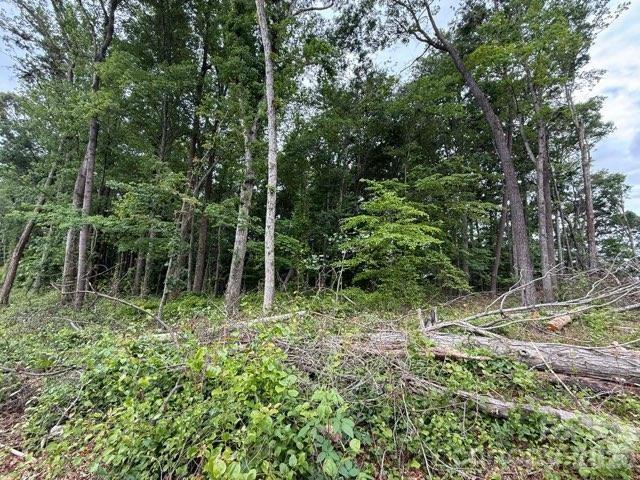 1799 Haire Road Yadkinville NC 27055