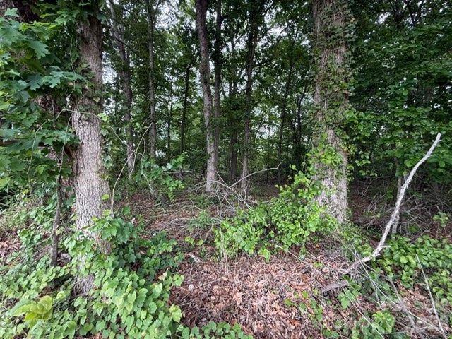 1799 Haire Road Yadkinville NC 27055