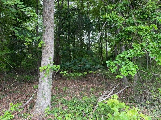 1799 Haire Road Yadkinville NC 27055