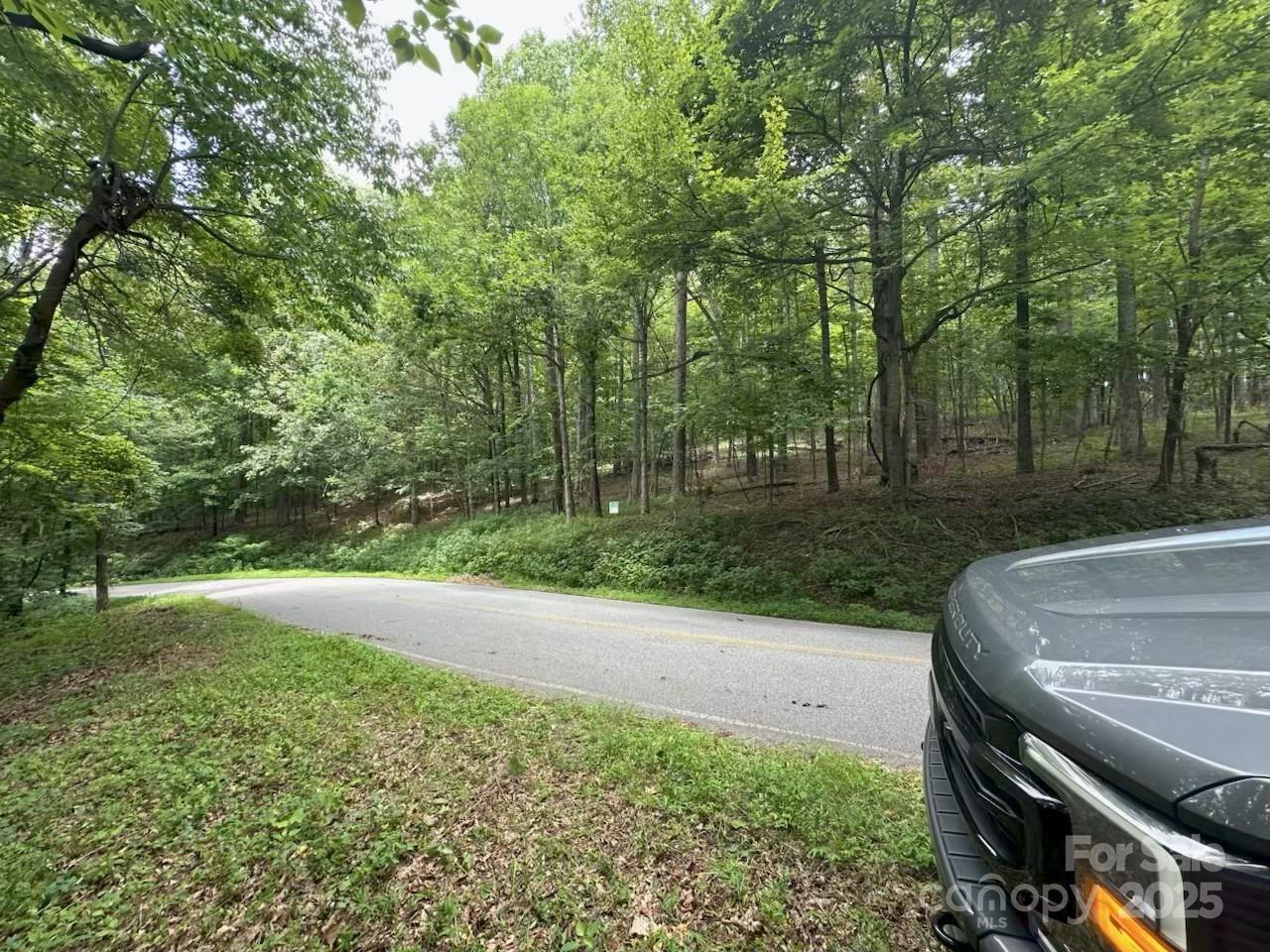 0000 Skyuka Mountain Road Columbus NC 28722