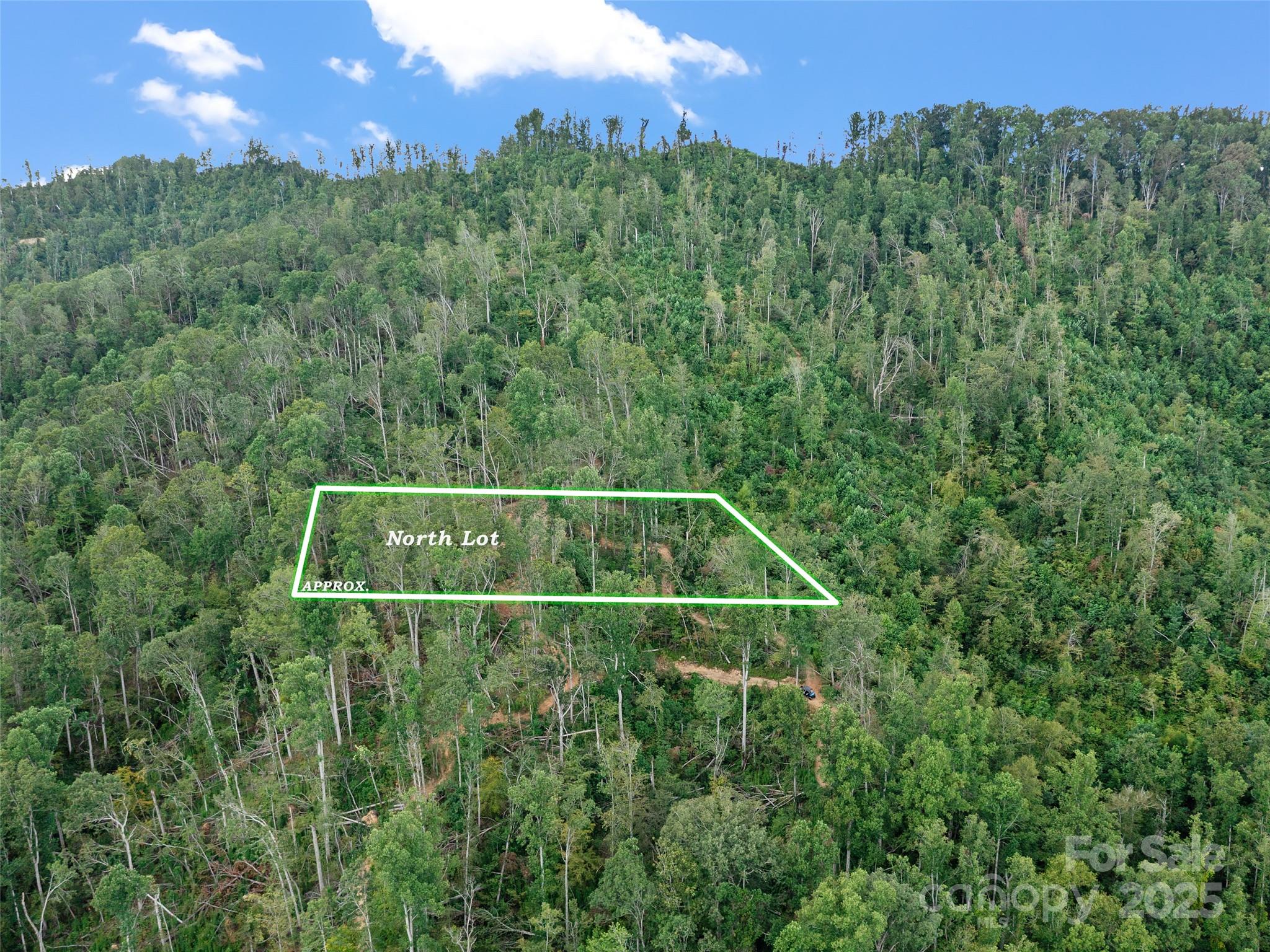 99999 Youngs Gap Road Fletcher NC 28732