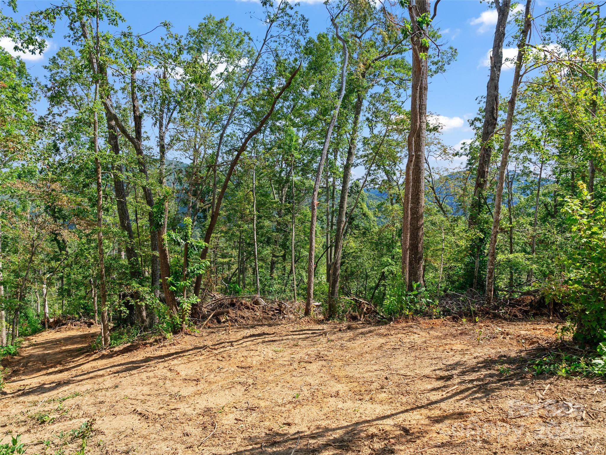 99999 Youngs Gap Road Fletcher NC 28732