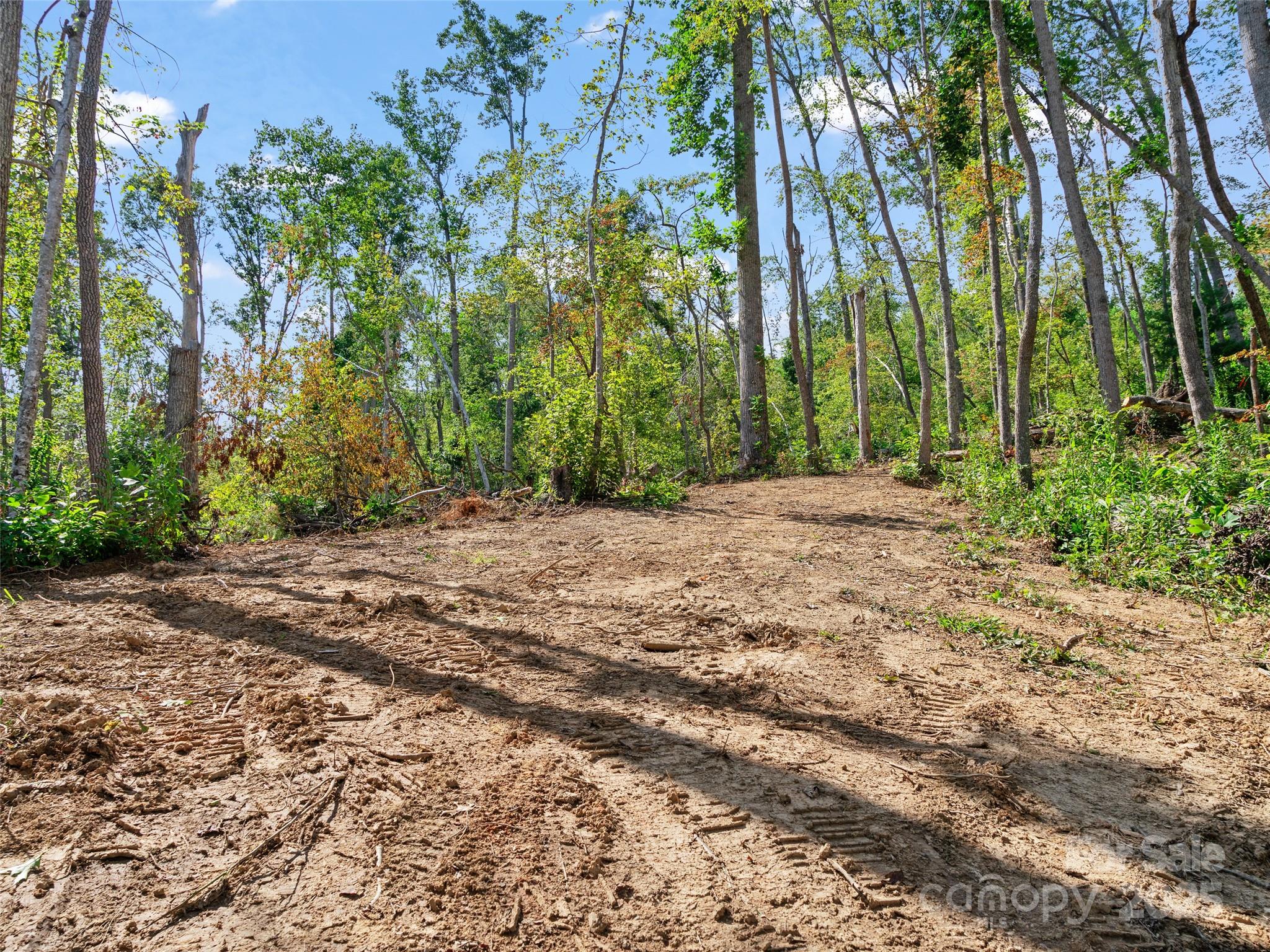 99999 Youngs Gap Road Fletcher NC 28732