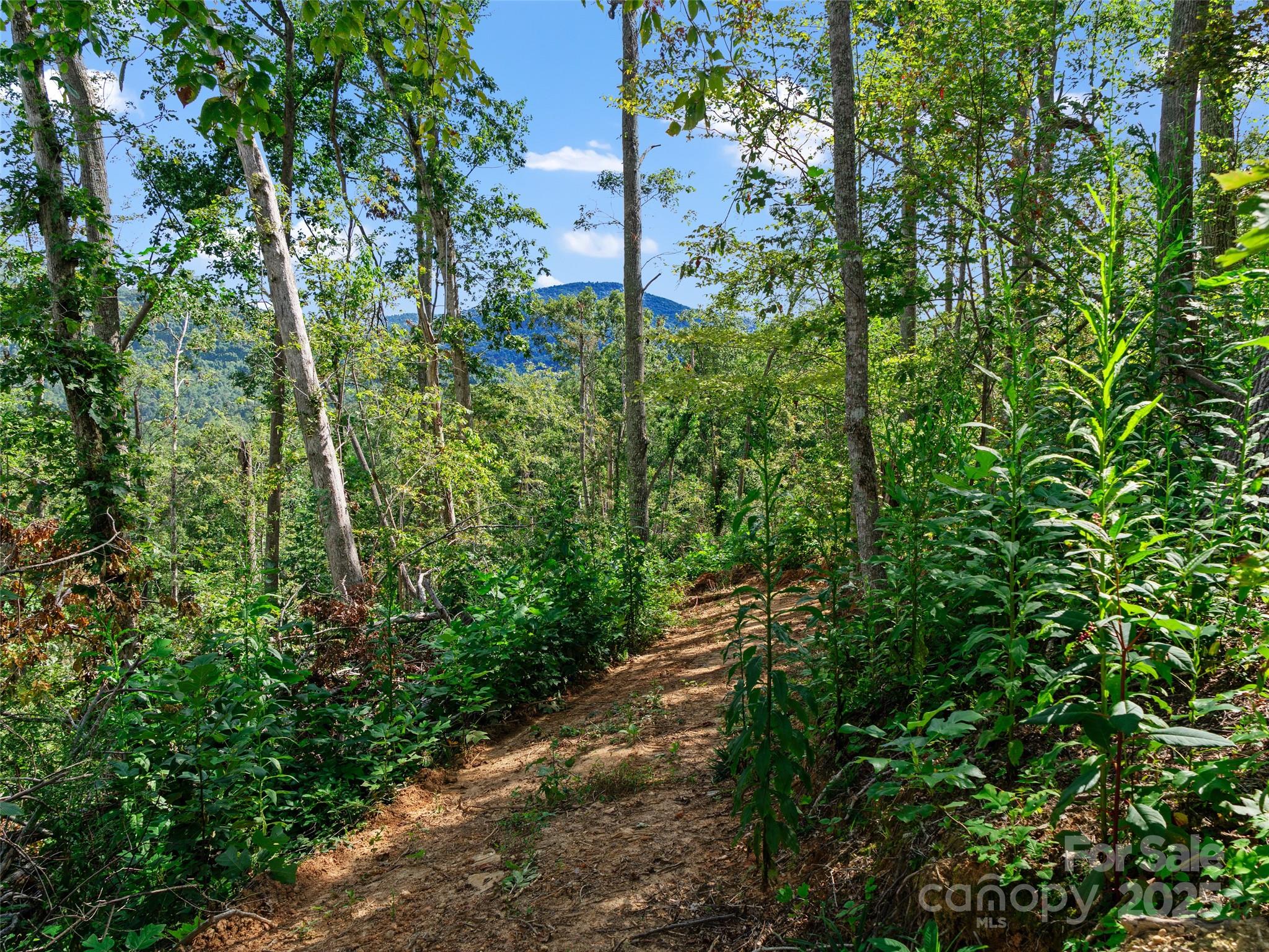 99999 Youngs Gap Road Fletcher NC 28732