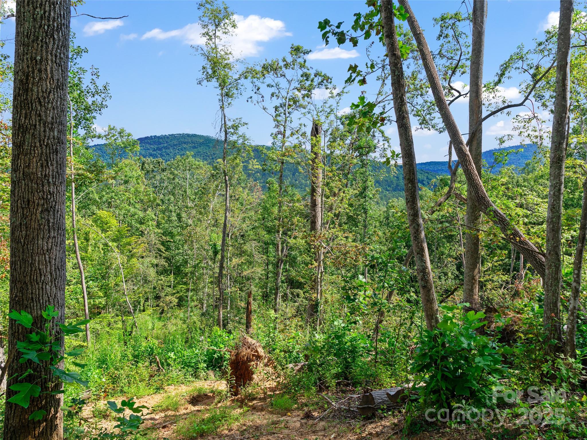 99999 Youngs Gap Road Fletcher NC 28732