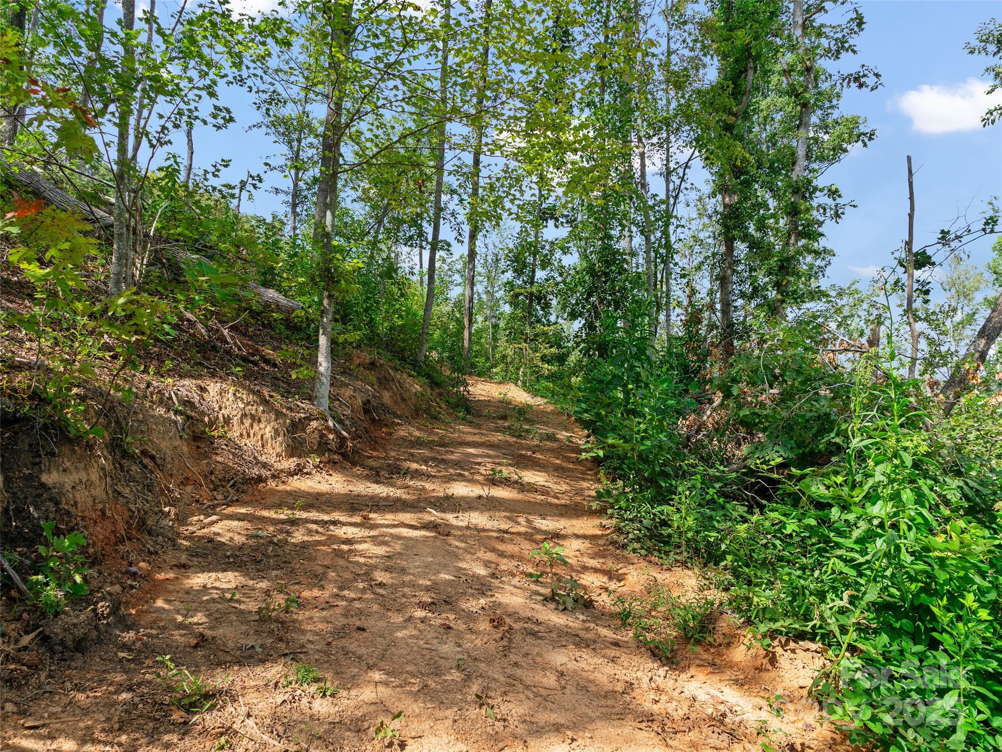 99999 Youngs Gap Road Fletcher NC 28732