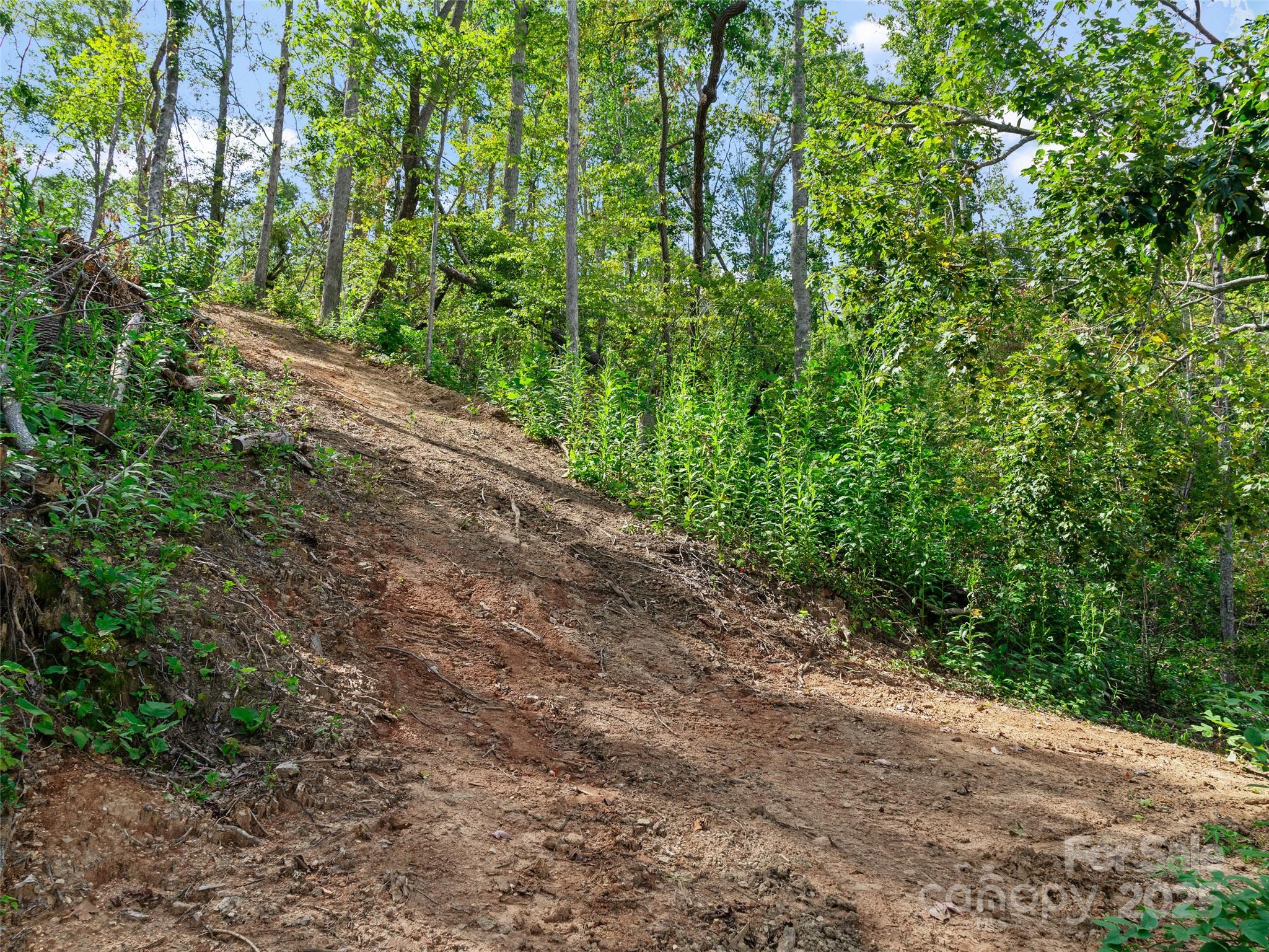 99999 Youngs Gap Road Fletcher NC 28732