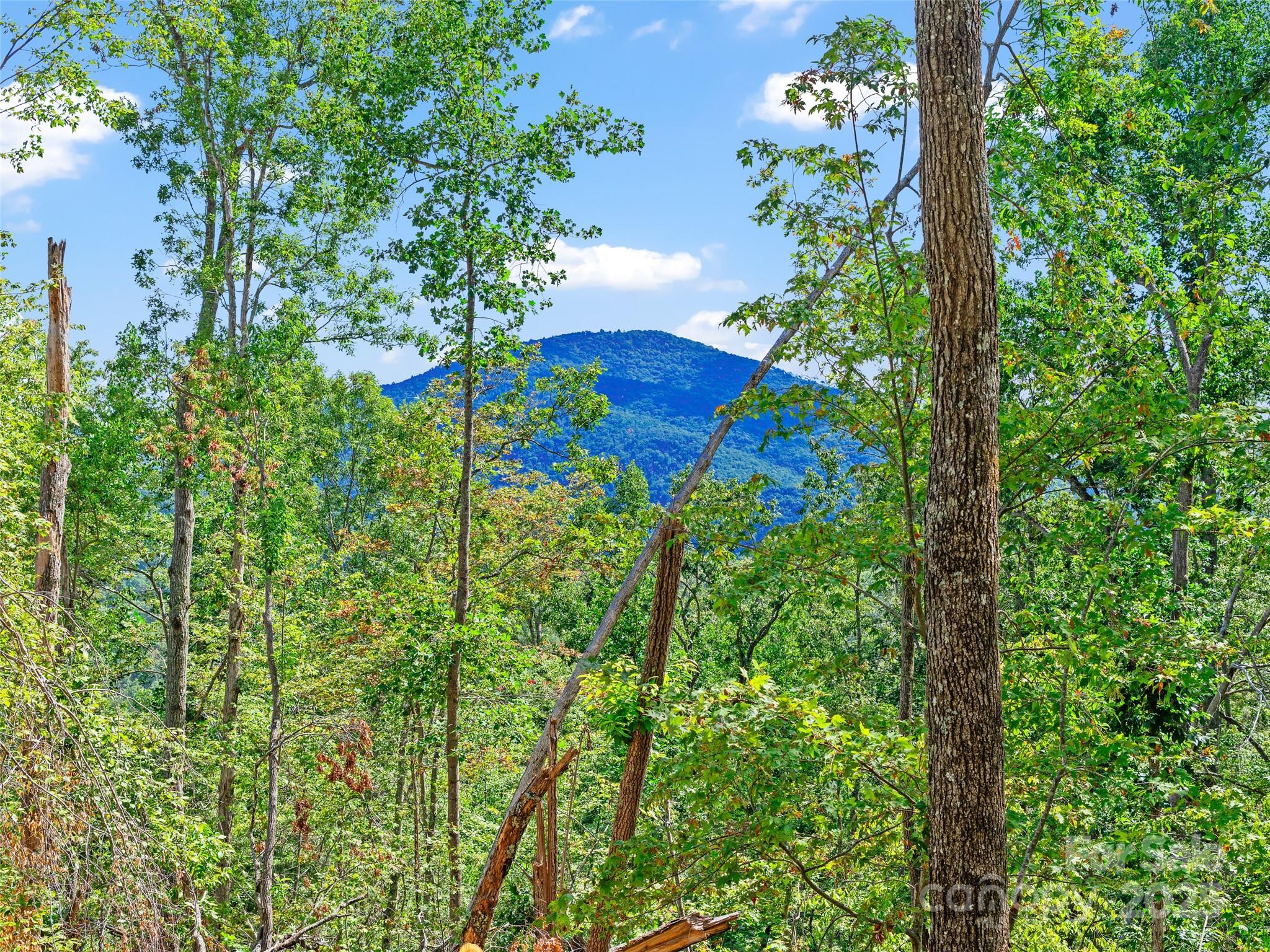 99999 Youngs Gap Road Fletcher NC 28732