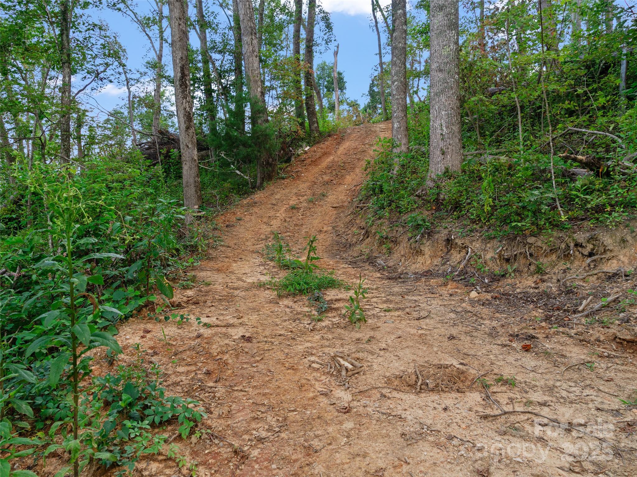 99999 Youngs Gap Road Fletcher NC 28732