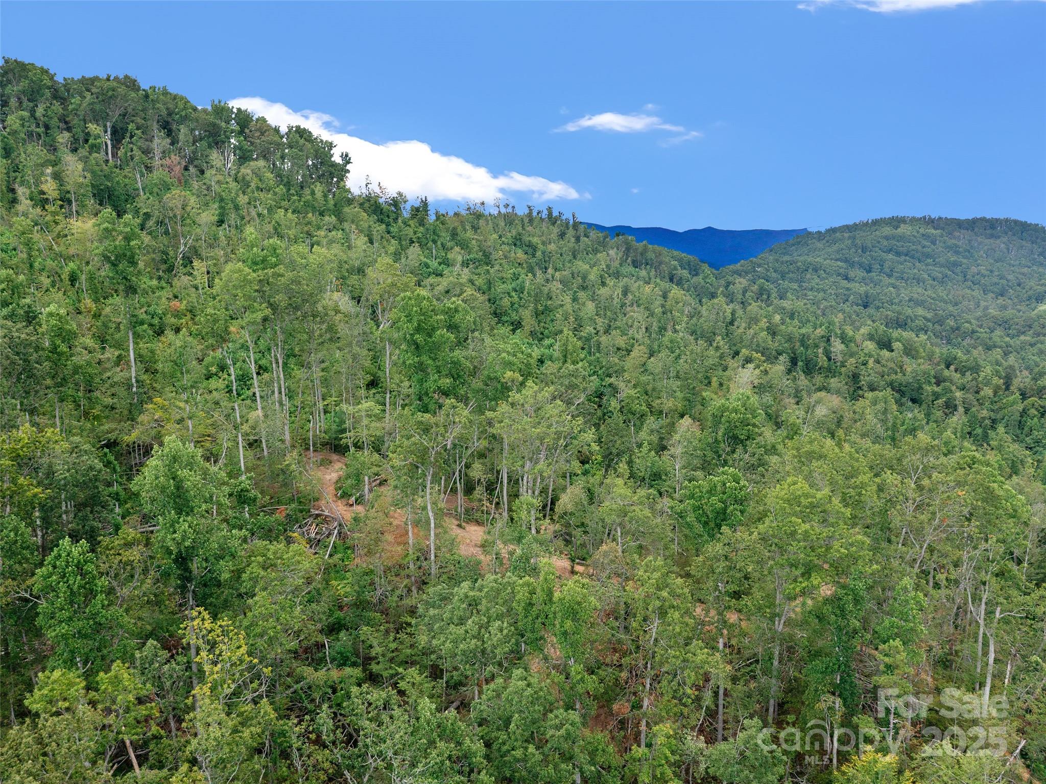 99999 Youngs Gap Road Fletcher NC 28732