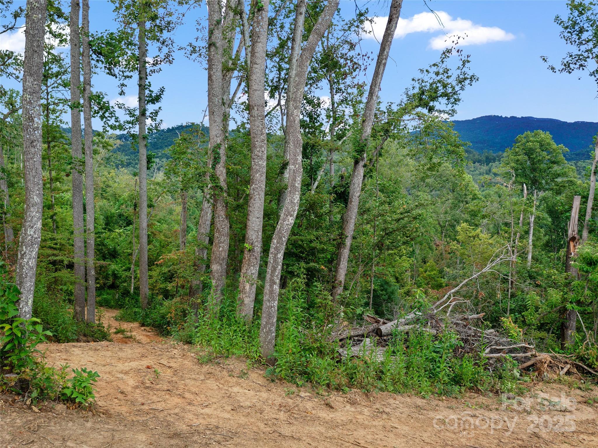 99999 Youngs Gap Road Fletcher NC 28732