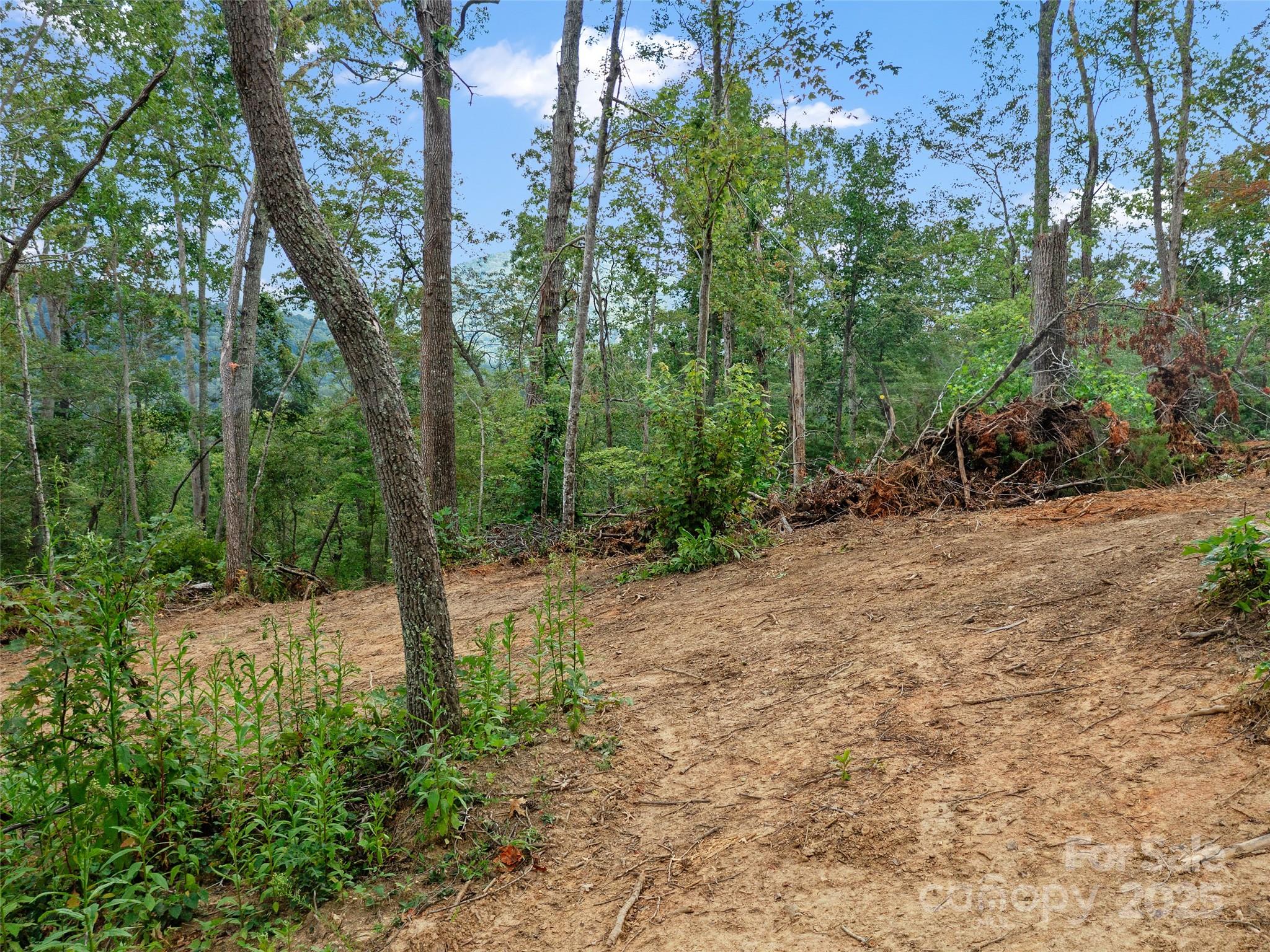 99999 Youngs Gap Road Fletcher NC 28732