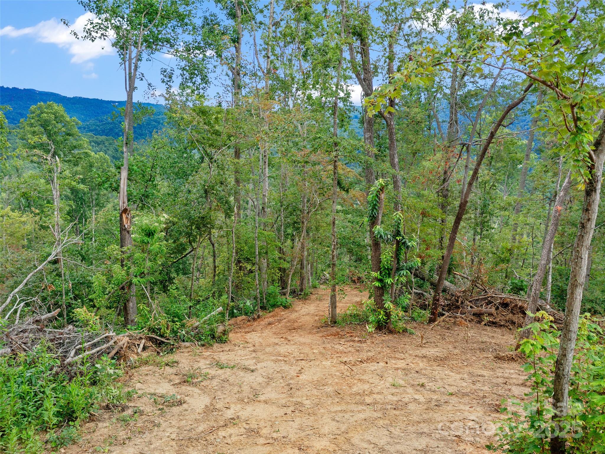 99999 Youngs Gap Road Fletcher NC 28732