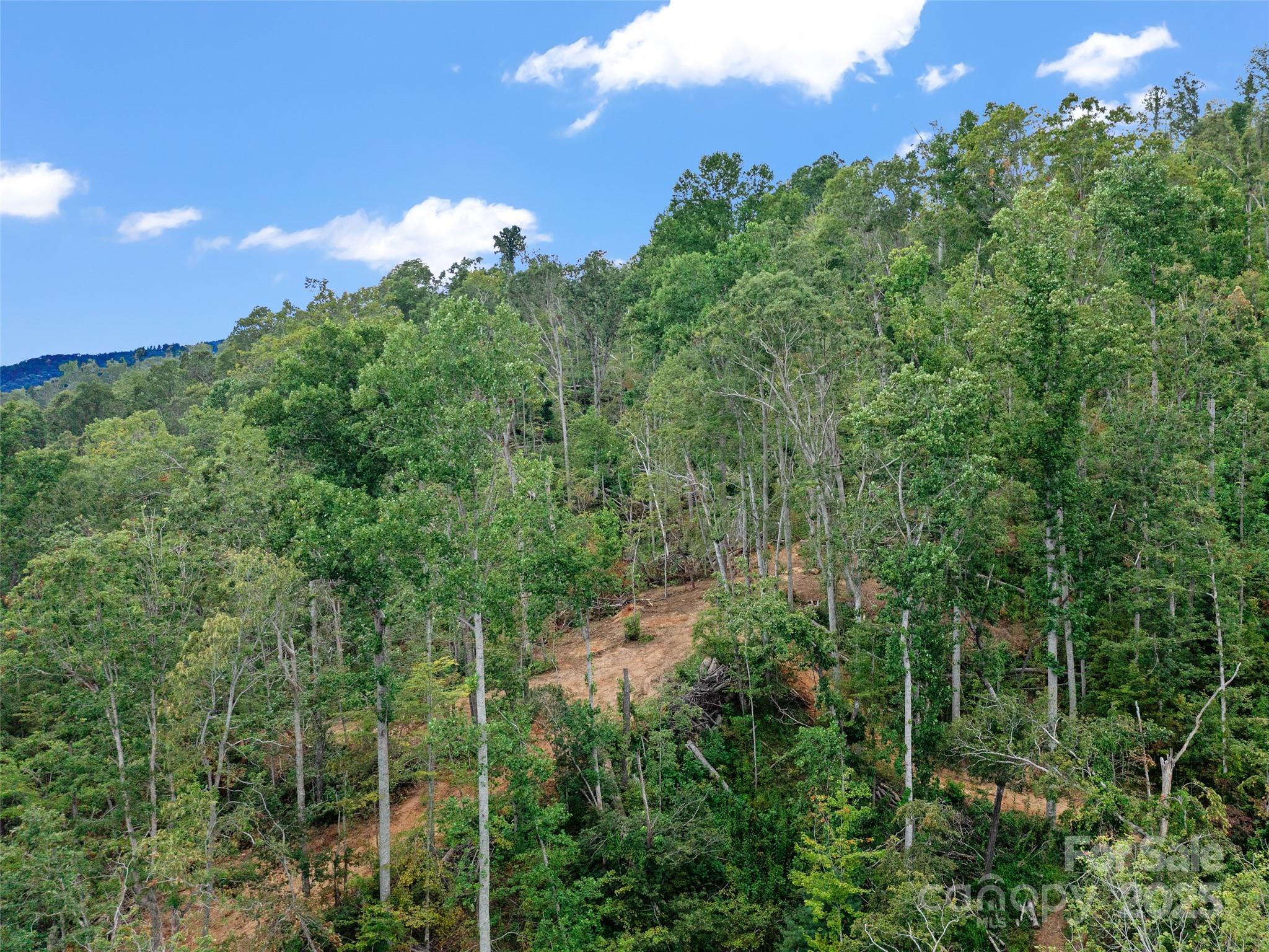 99999 Youngs Gap Road Fletcher NC 28732