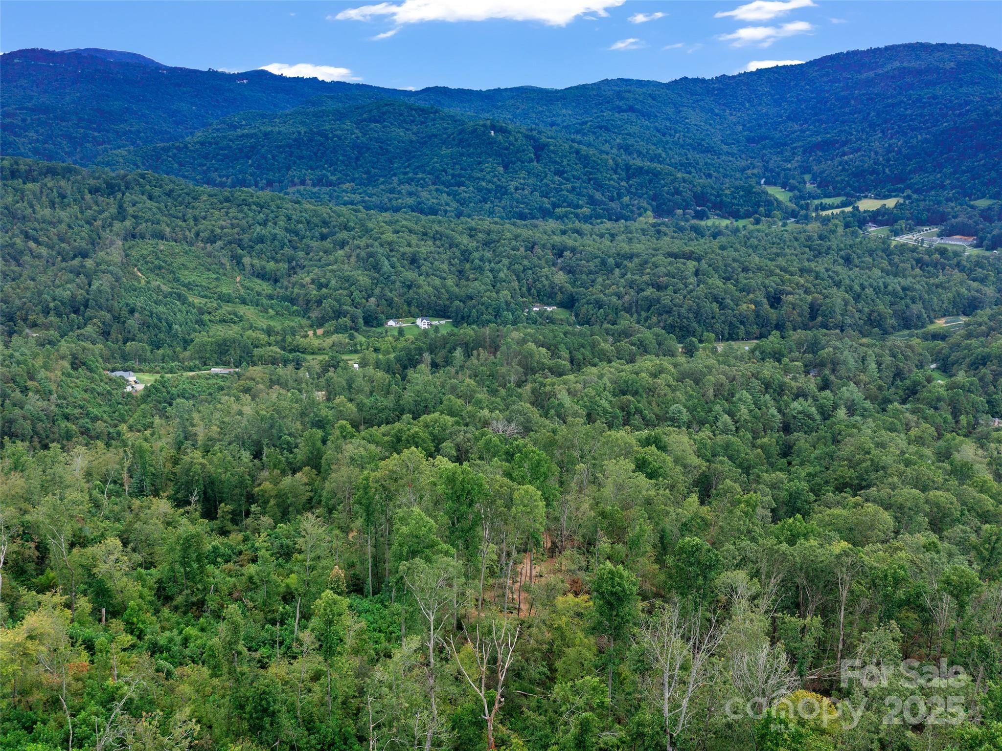 99999 Youngs Gap Road Fletcher NC 28732