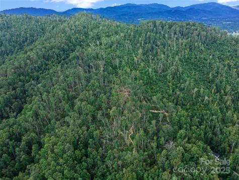 99999 Youngs Gap Road Fletcher NC 28732