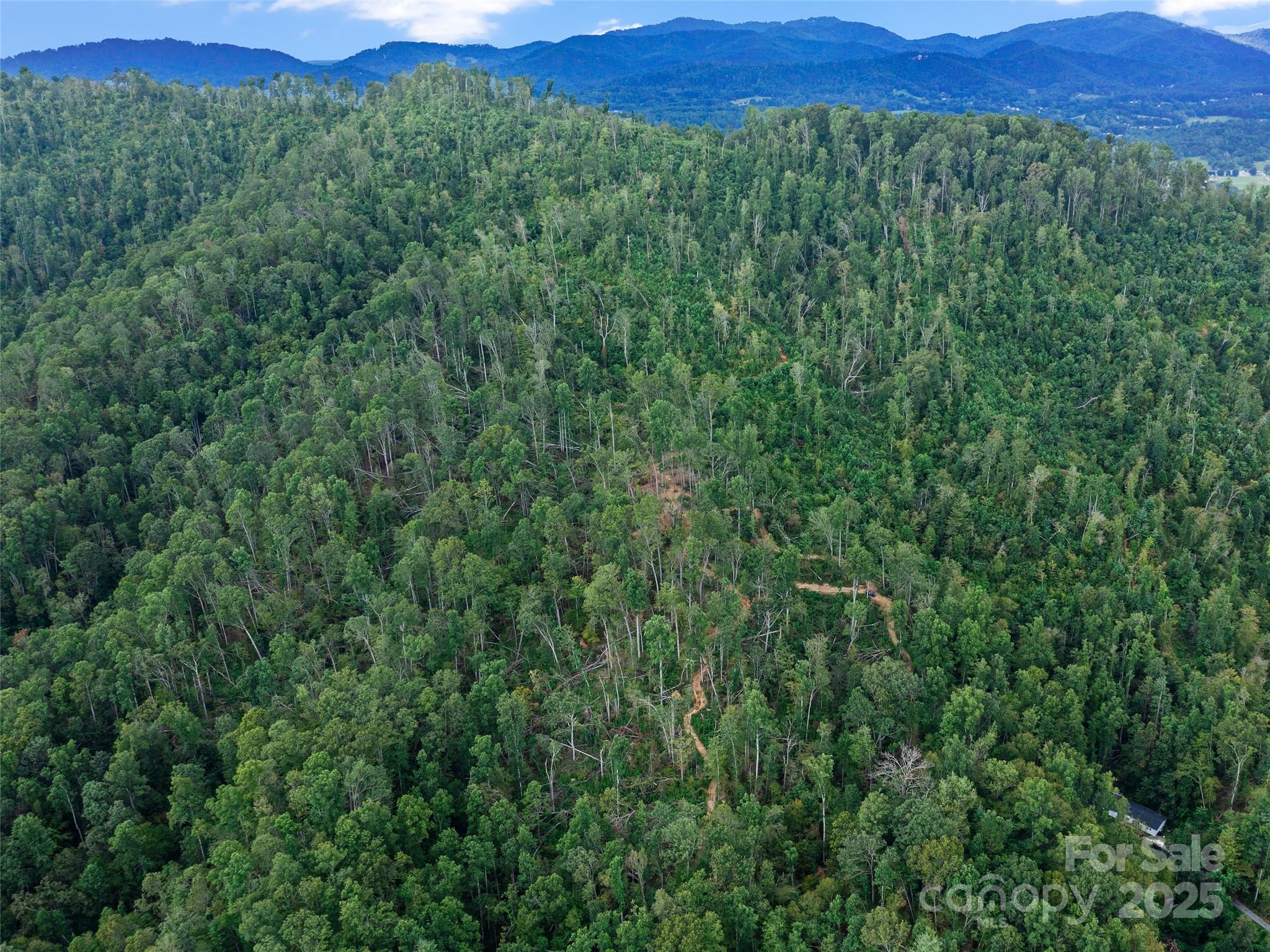 99999 Youngs Gap Road Fletcher NC 28732