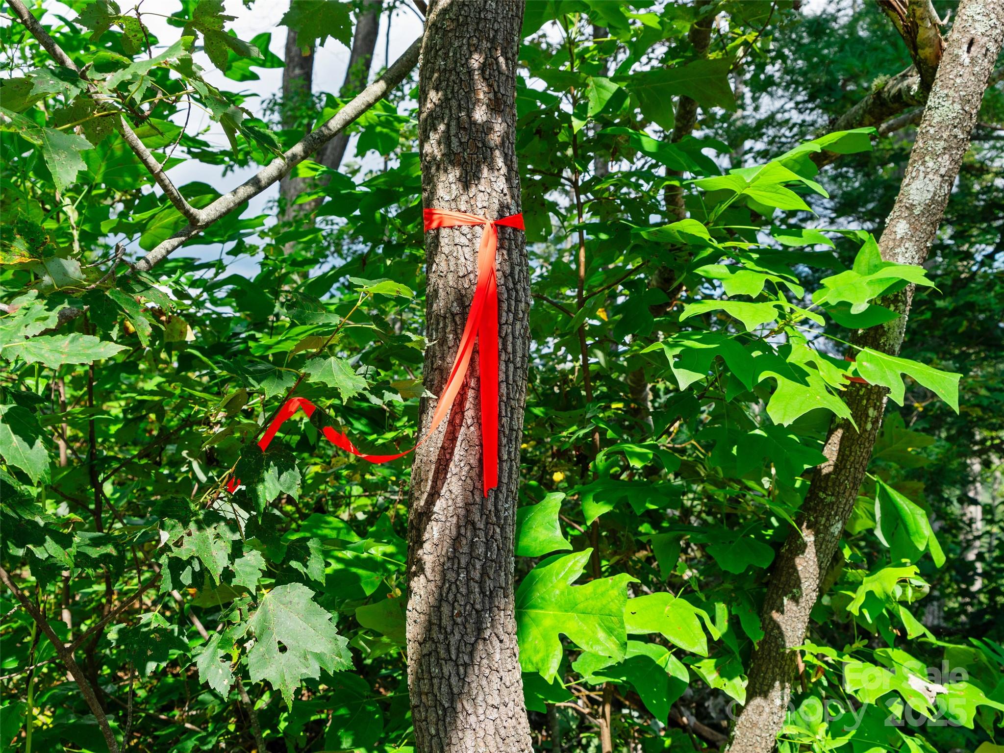 99999 Youngs Gap Road Fletcher NC 28732