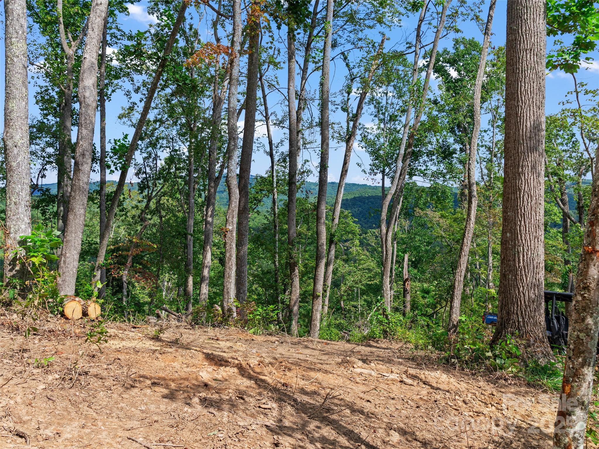 99999 Youngs Gap Road Fletcher NC 28732